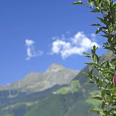 Hahnenkamm Rainegg Lejlighed Schenna Eksteriør billede